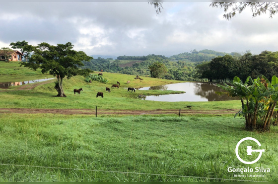 Cabanha montada com 4 Hectares próxima a Presidente Lucena