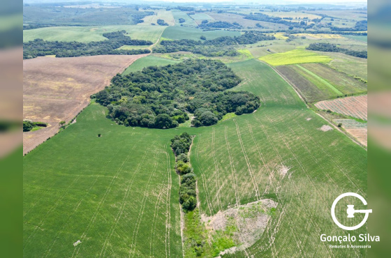 Área Rural com 64 Hectares em Guaíba