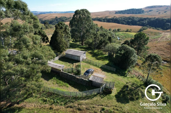 Fazenda com 828 Hectares em Jaquirana
