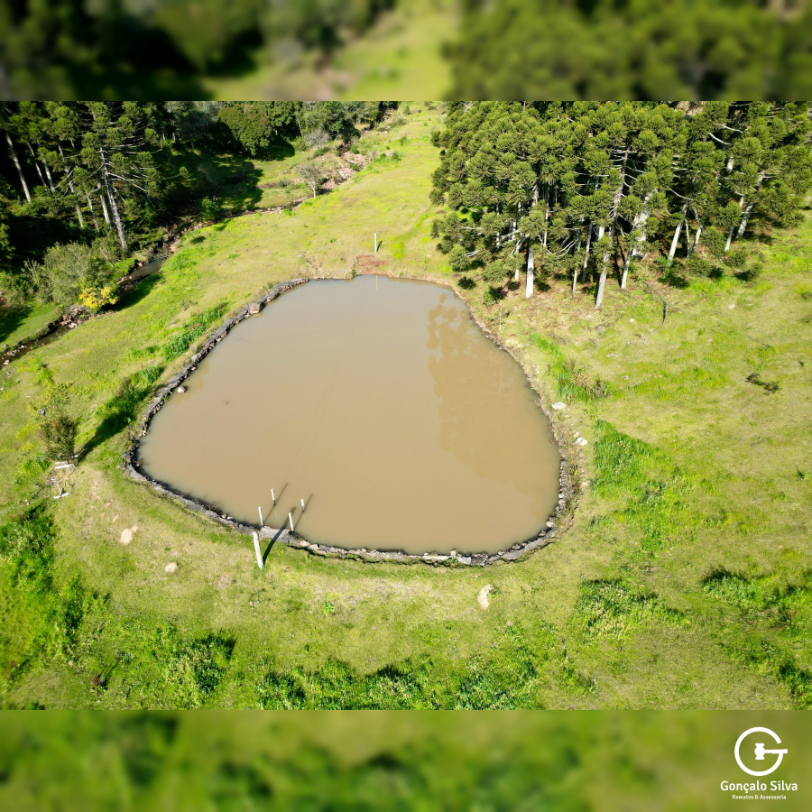 Propriedade Rural com 24 Hectares na Serra Gaúcha