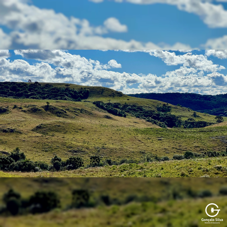 Fazenda com 277 Hectares em São Francisco de Paula