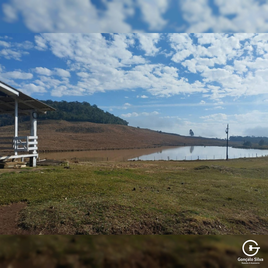 Fazenda no Paraná com 332 Hectares