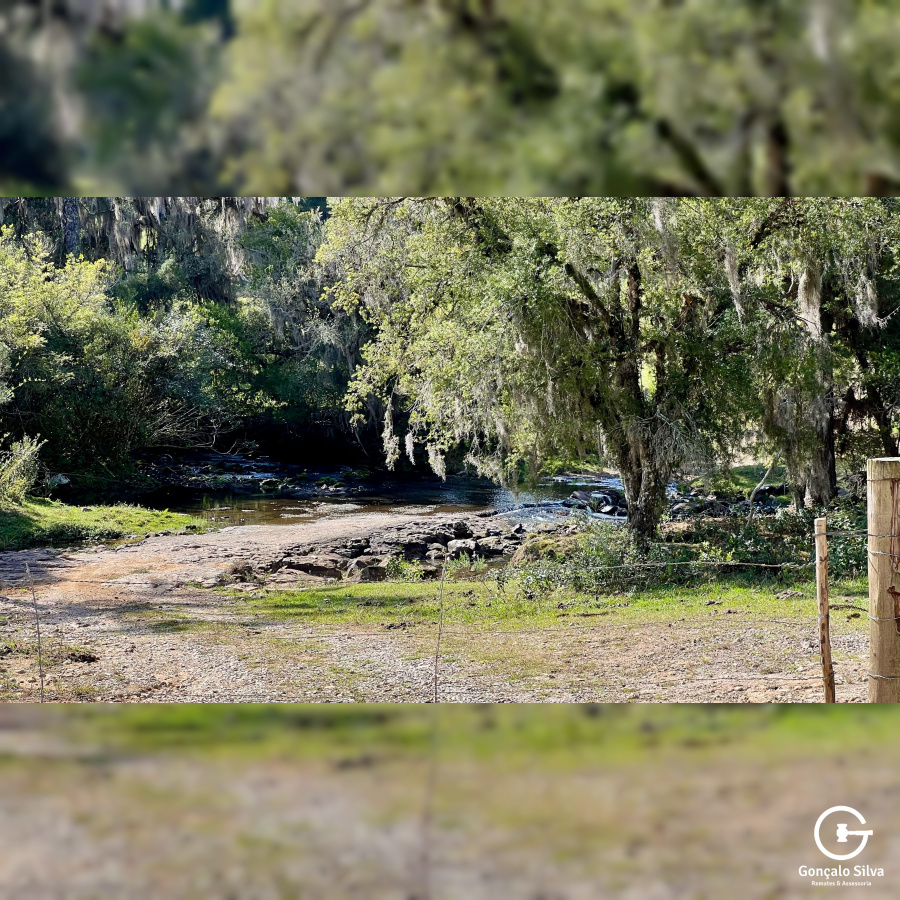 Fazenda com 425 Hectares em Caxias do Sul
