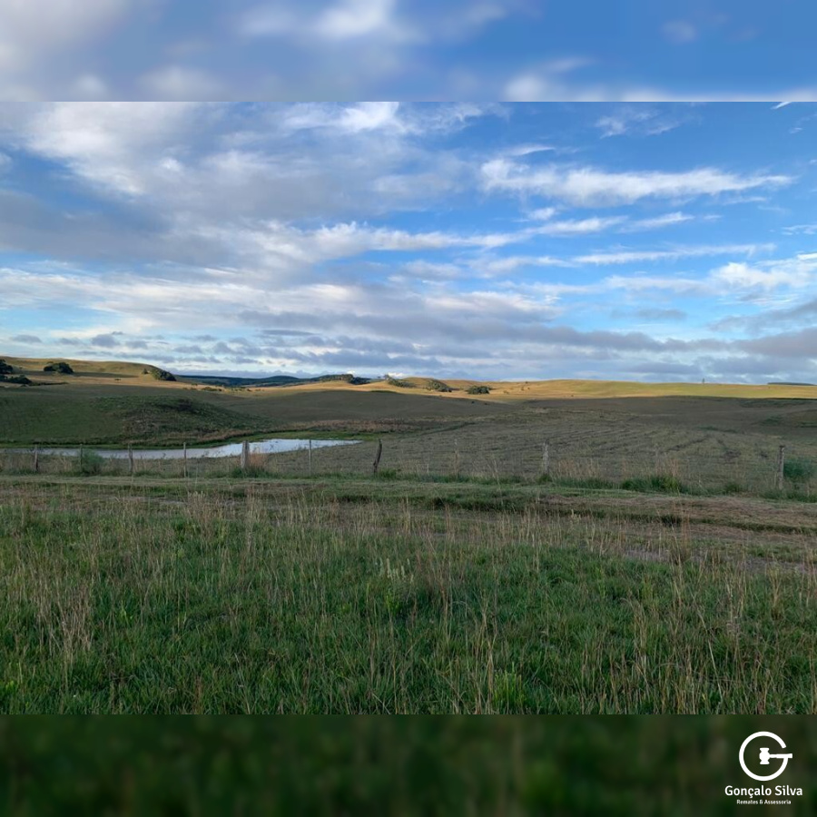 Fazenda com 828 Hectares em Jaquirana
