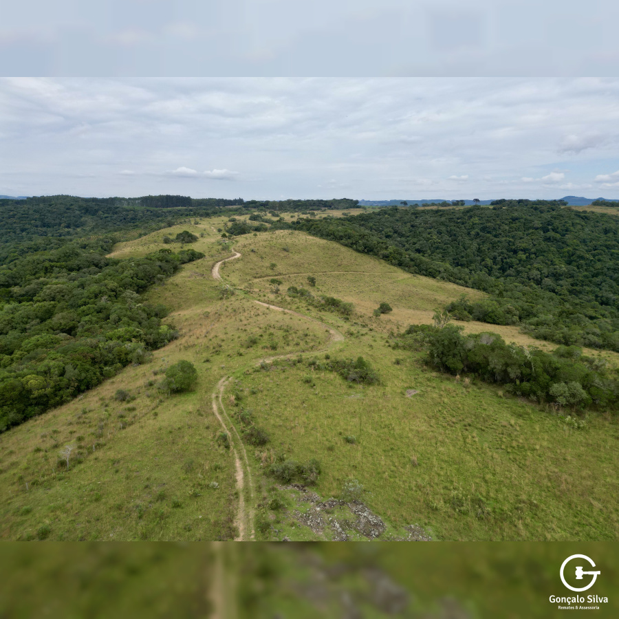 Área de 450 Hectares em Jaquirana