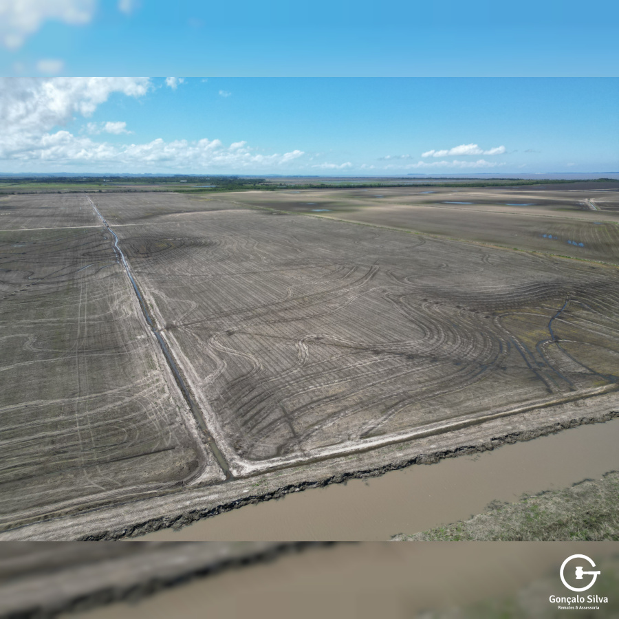 Área Rural com 132 Hectares em Tapes