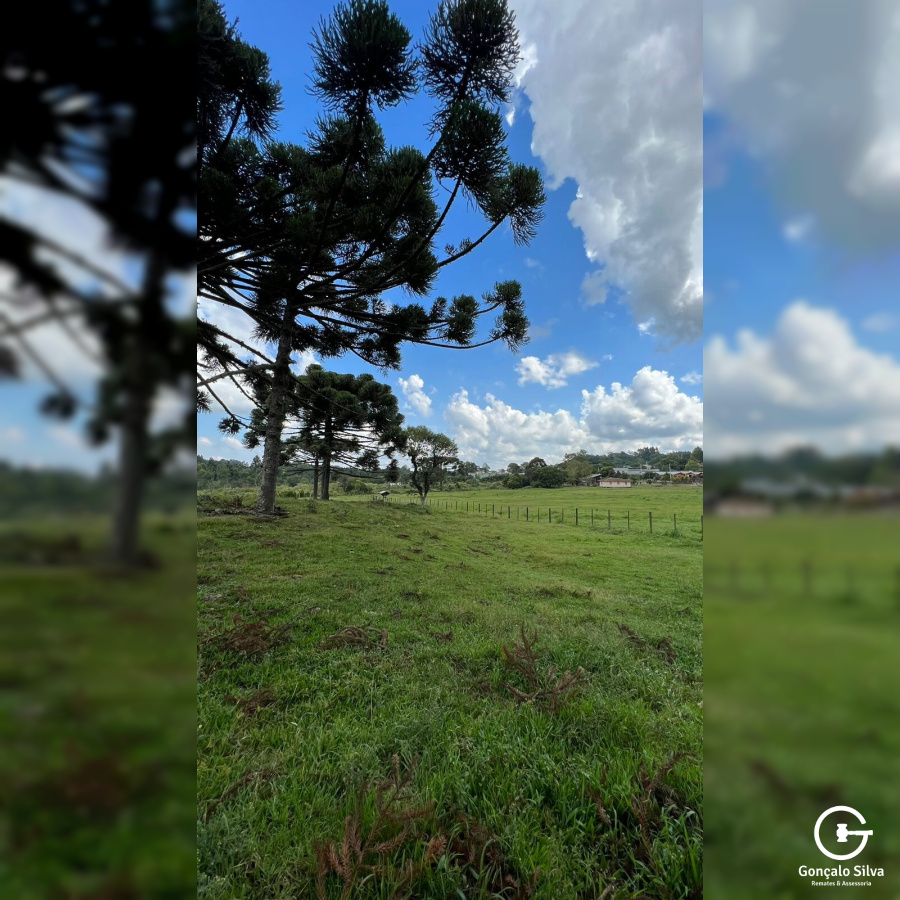 Chácara com 04 Hectares em Gramado