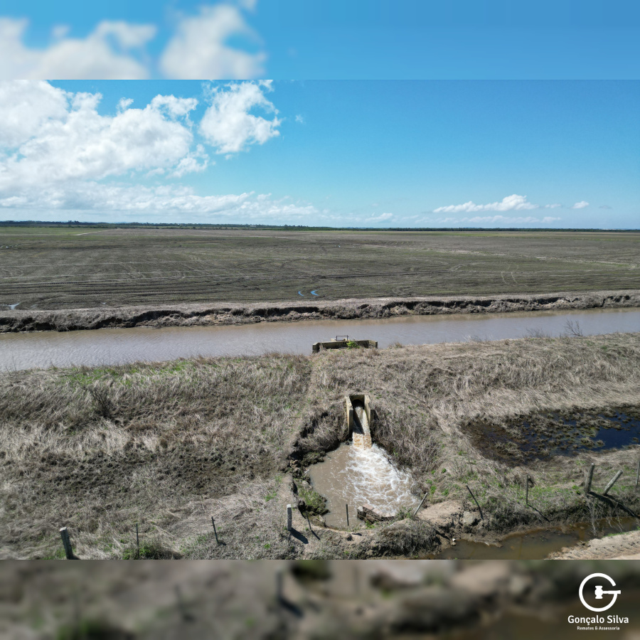 Área Rural com 132 Hectares em Tapes