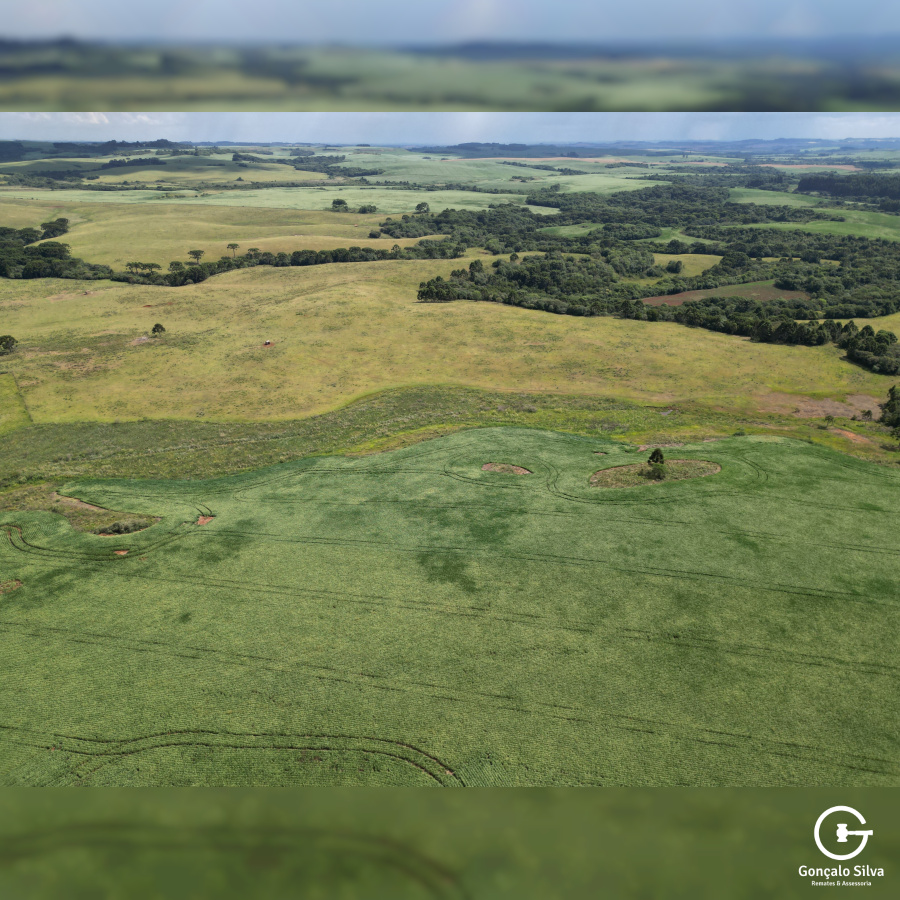 Fazenda de 166 Hectares em Muitos Capões