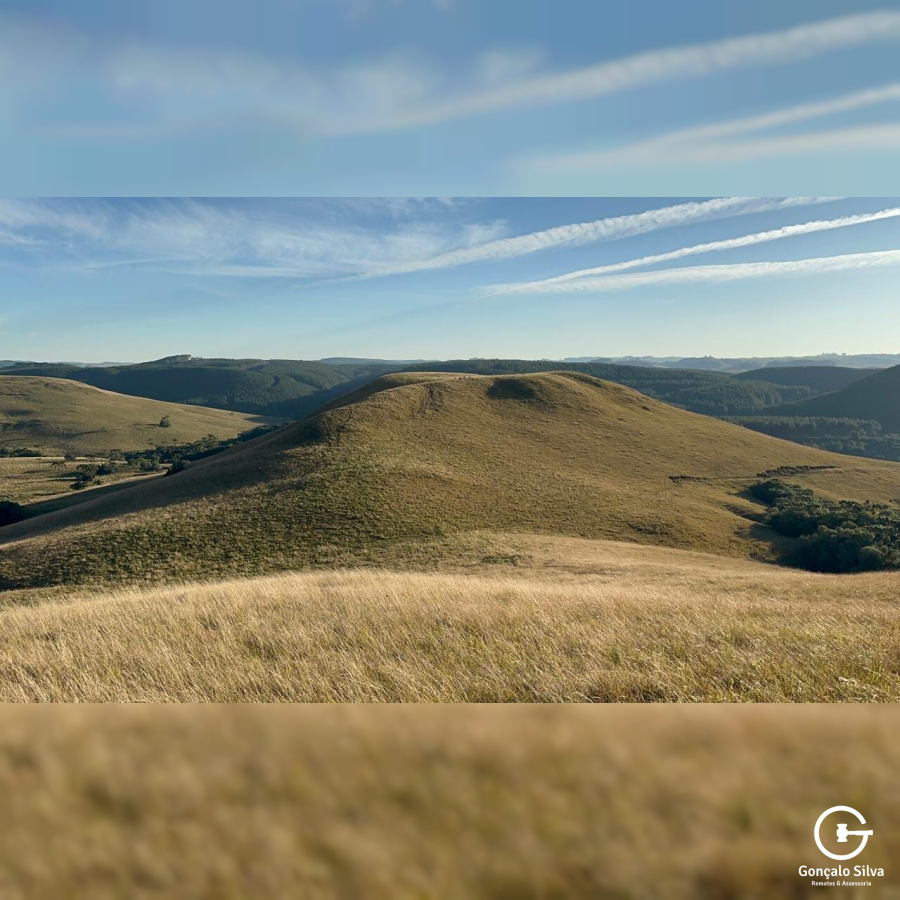 Fazenda com 800 Hectares em Jaquirana