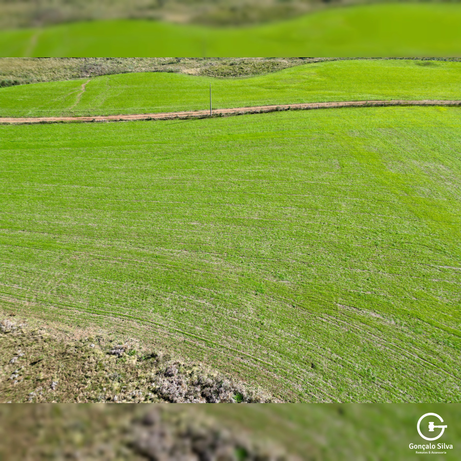 Área Rural com 90 Hectares em Esmeralda