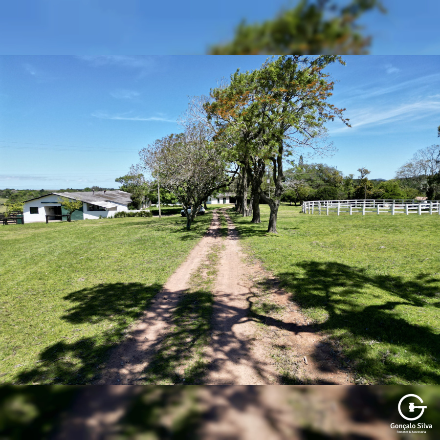 Fazenda com 97 Hectares, com estrutura para cabanha a 1H de POA