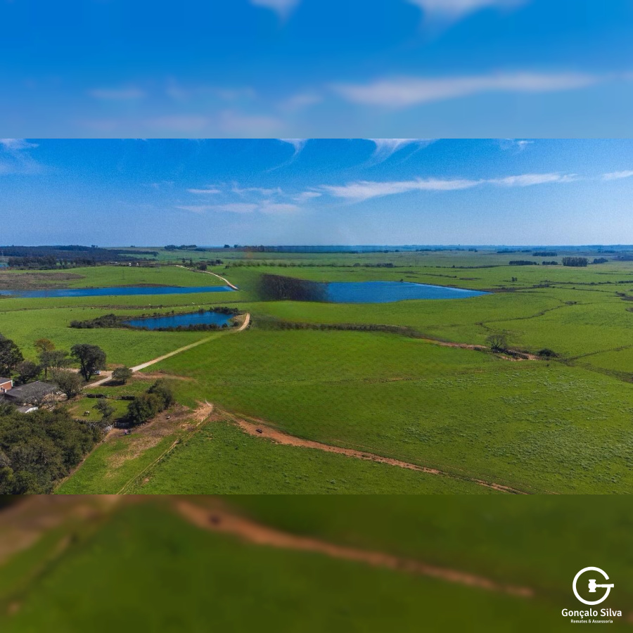Fazenda com 900 Hectares em Candiota