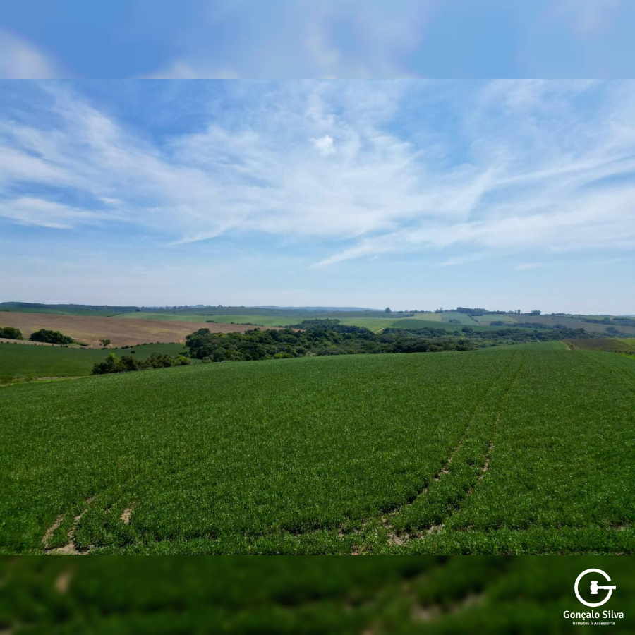 Área Rural com 64 Hectares em Guaíba