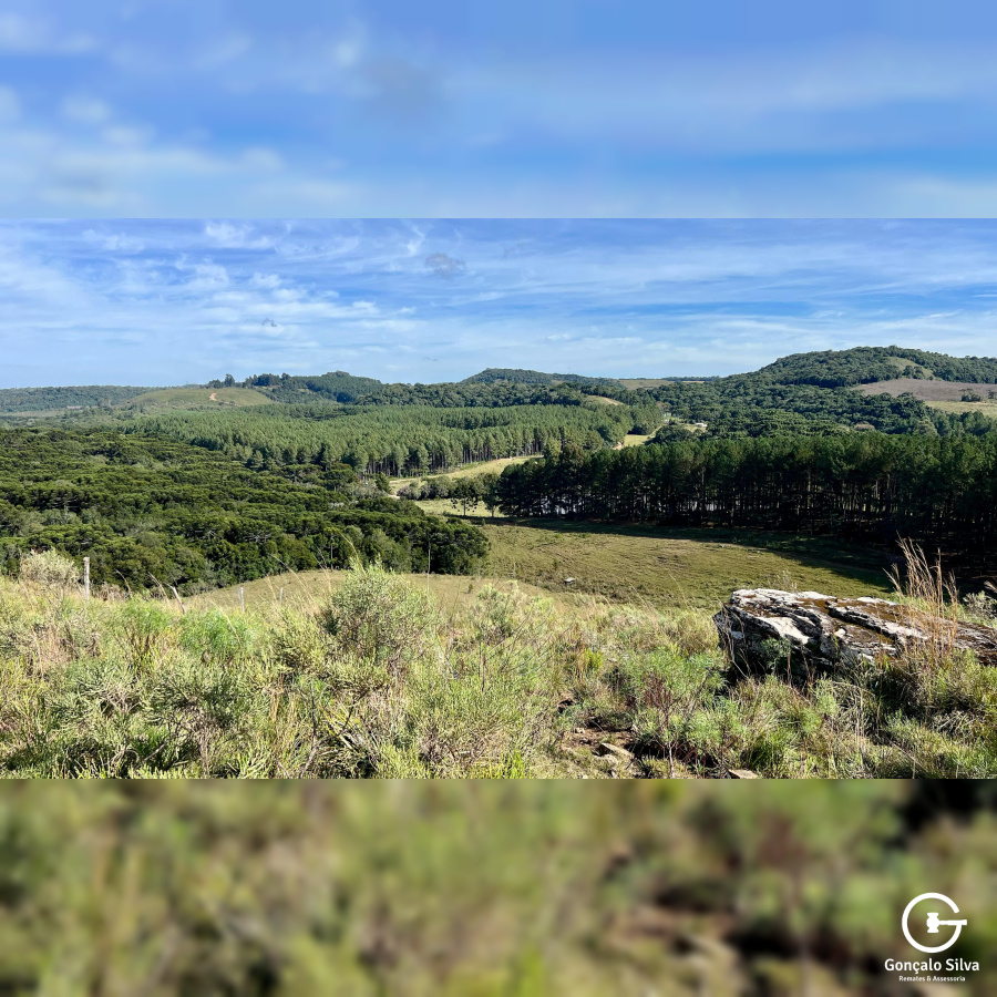 Fazenda com 425 Hectares em Caxias do Sul