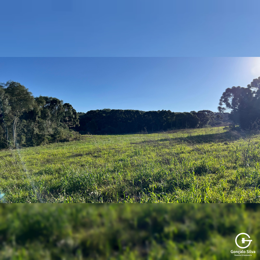 Área com 15,5 Hectares em Vacaria