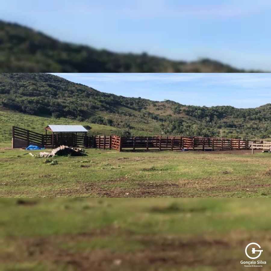 Fazenda com 712 Hectares em Sant'ana do Livramento