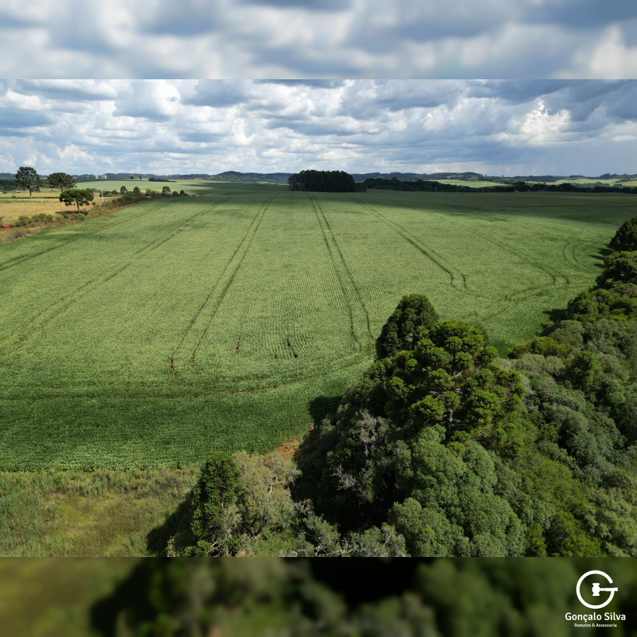 Fazenda de 166 Hectares em Muitos Capões