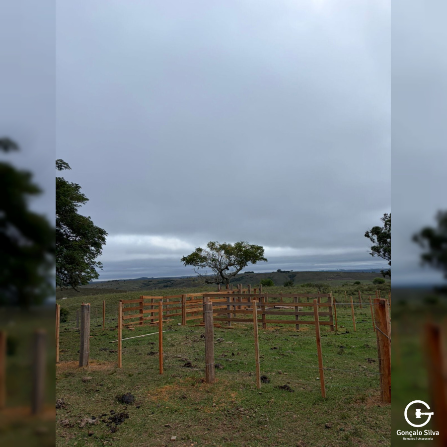 Área rural com 115 Hectares em Candiota