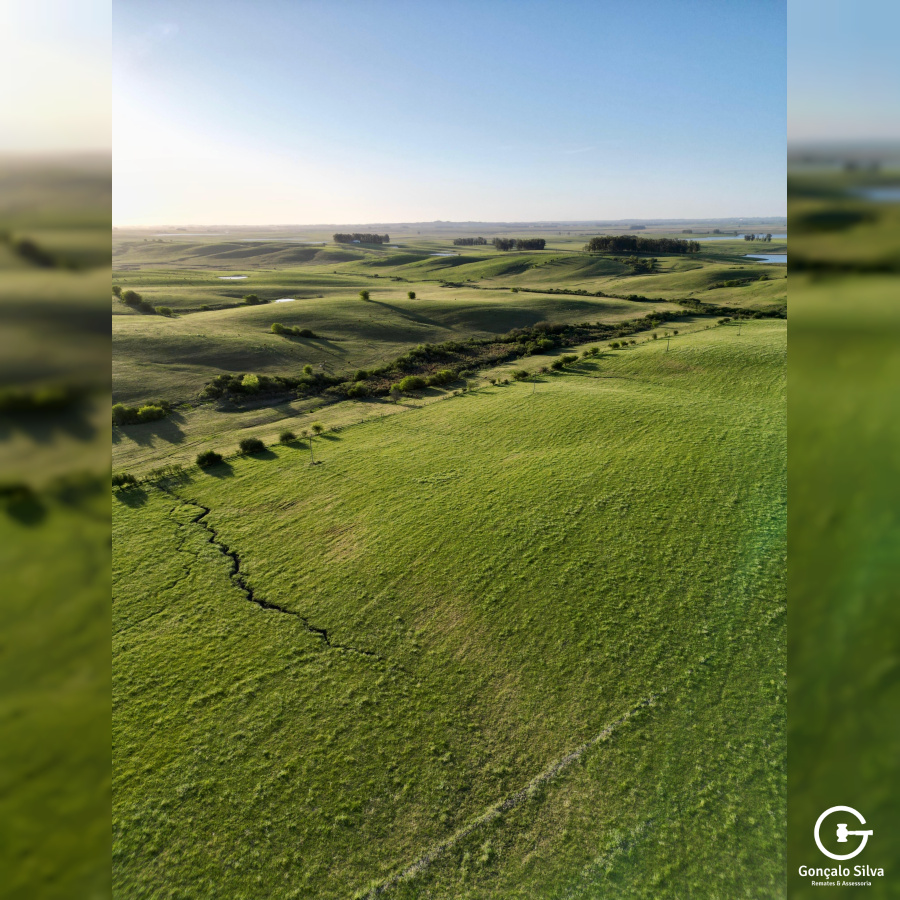 Fazenda com 410 Hectares em Bagé