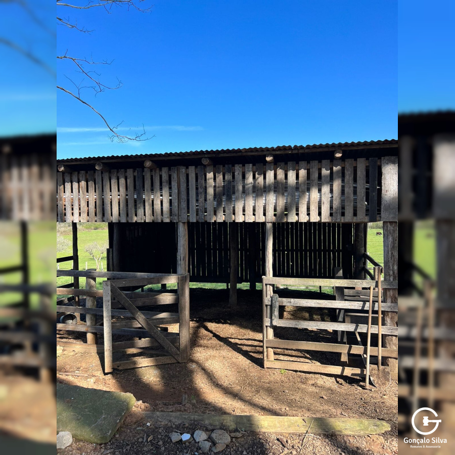 Sítio com 42 Hectares em Campo Bom