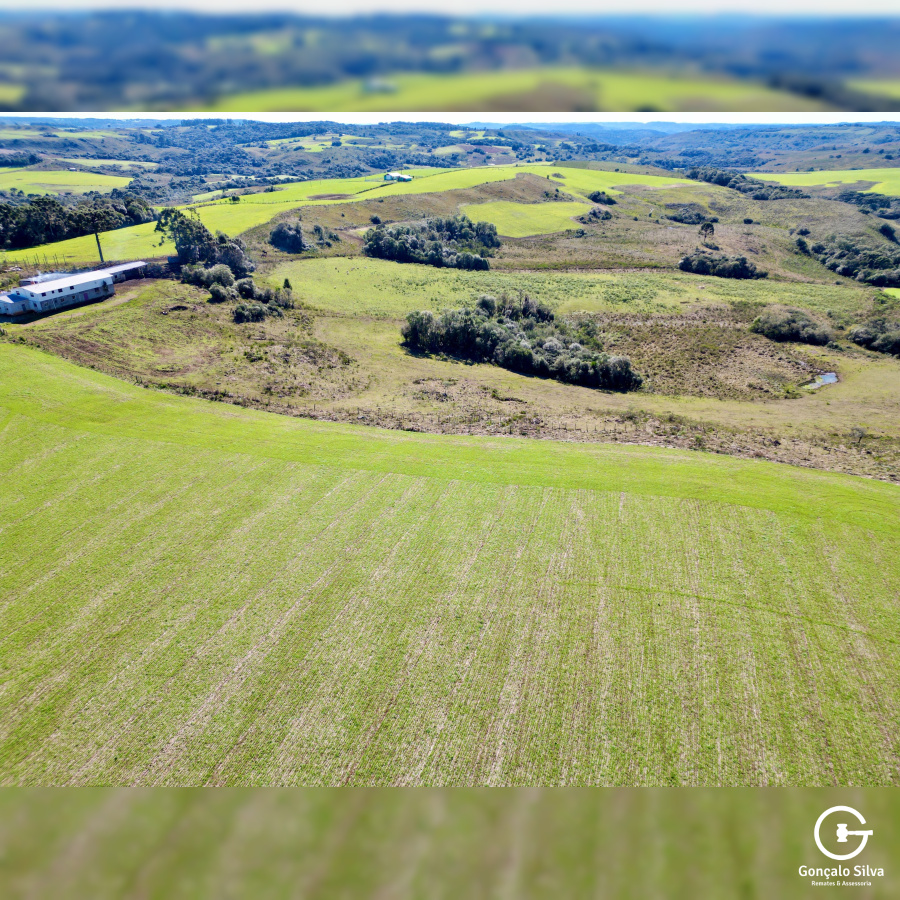 Área Rural com 90 Hectares em Esmeralda