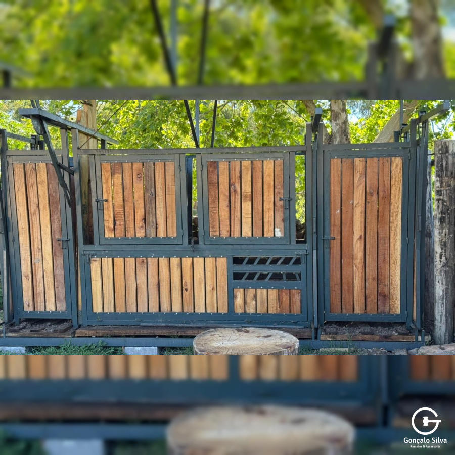 Fazenda com 223 Hectares em São Francisco de Paula