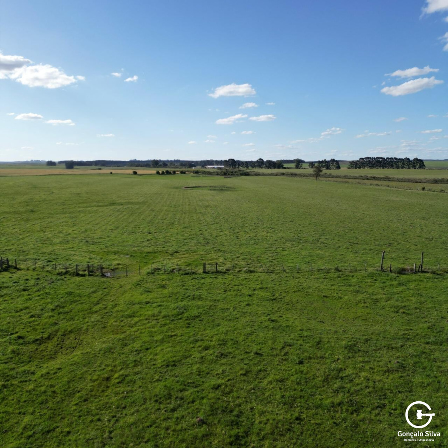 Fazenda com 150 Hectares na região do Seival