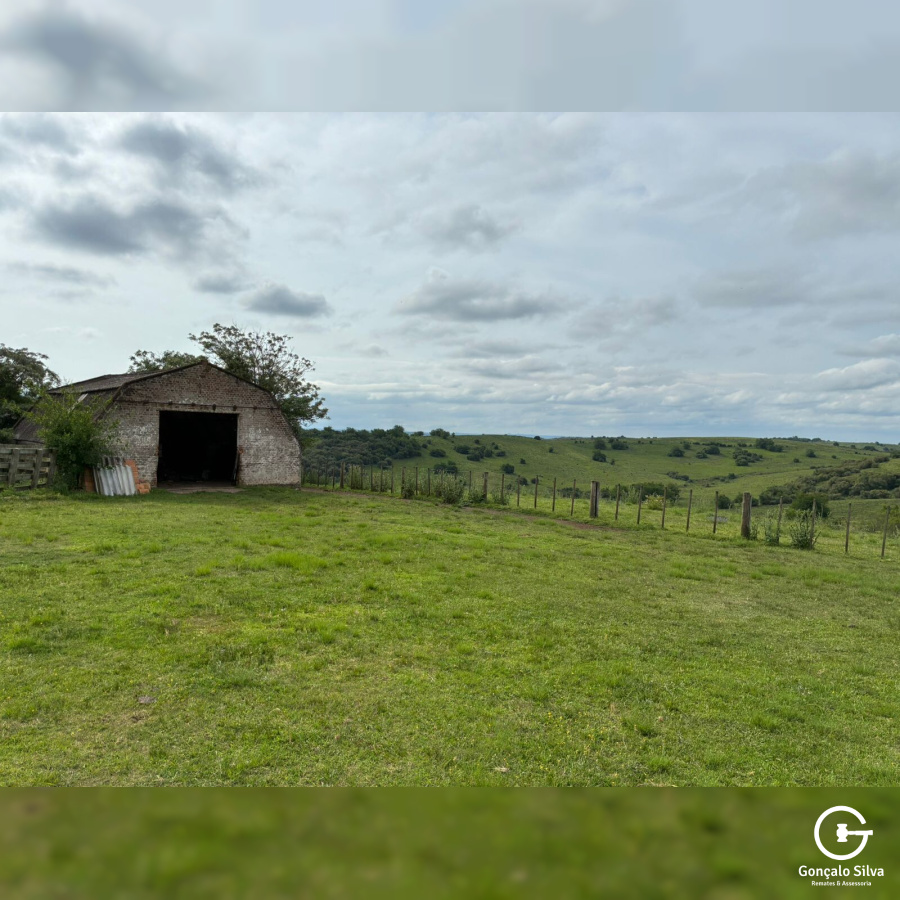 Fazenda com 1.300 Hectares região da Fronteira