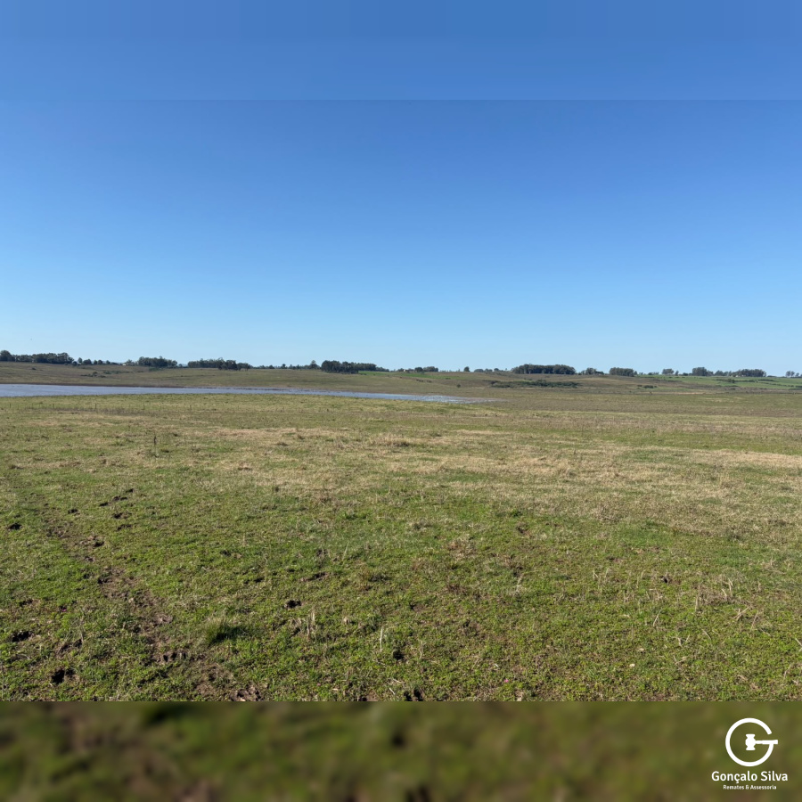 Fazenda com 360 Hectares em Candiota/Bagé