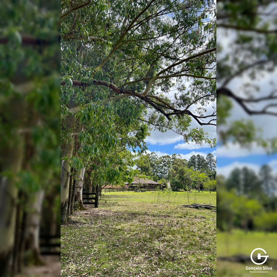 Área para Cabanha ou Centro de Treinamento