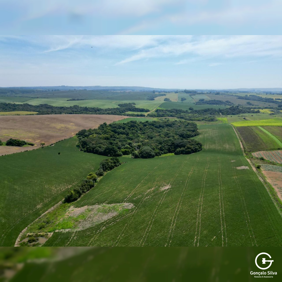 Área Rural com 64 Hectares em Guaíba