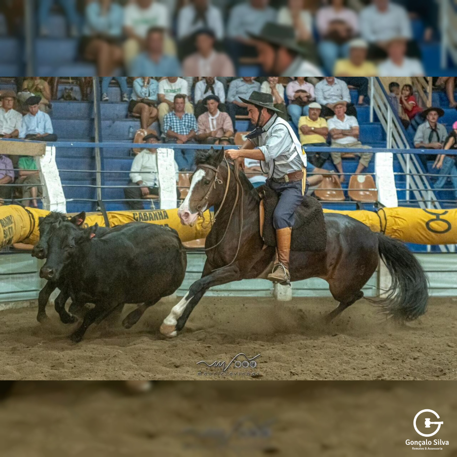 EGUA DOMADA - FINALISTA FREIO DO PROPRIETARIO