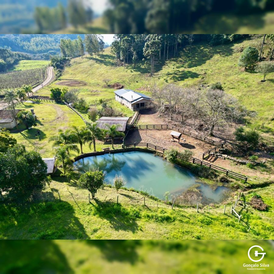 Propriedade Rural com 24 Hectares na Serra Gaúcha