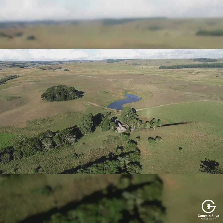 Fazenda com 750 Hectares em Jaquirana