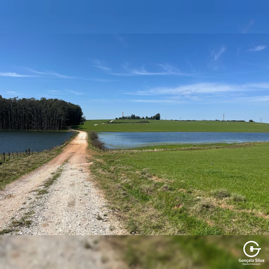 Fazenda com 900 Hectares em Candiota