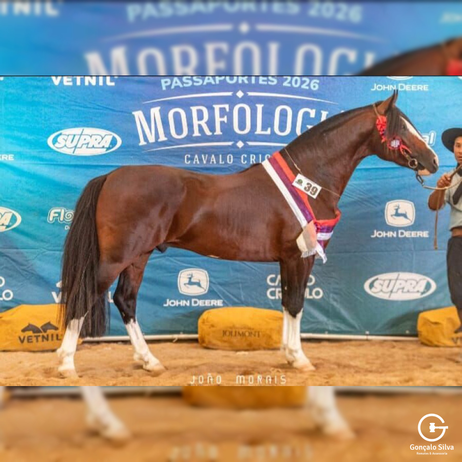 COBERTURAS PONS JAGUARI 