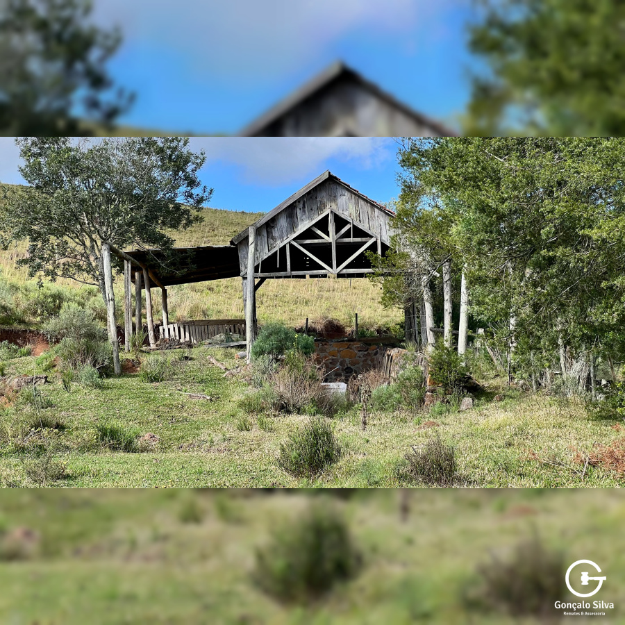 Fazenda com 277 Hectares em São Francisco de Paula