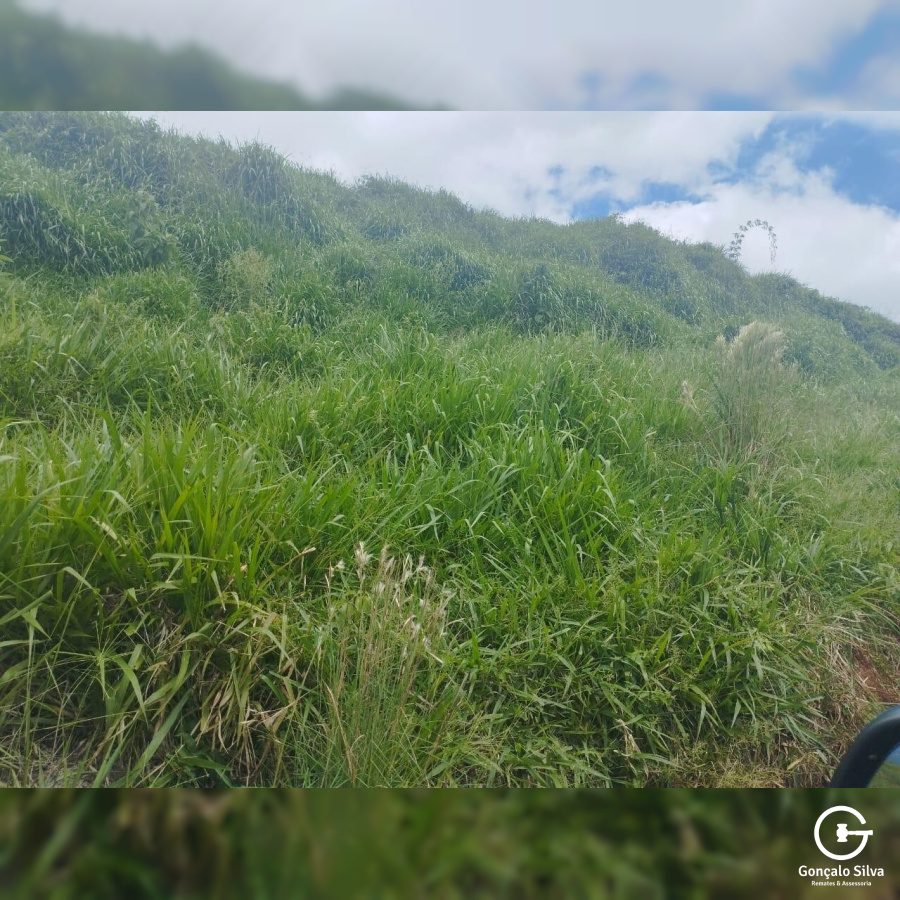 Fazenda no Paraná com 332 Hectares