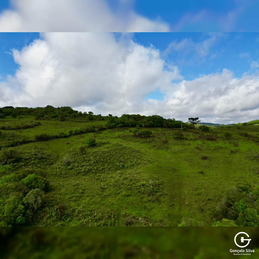 Área de 91 Hectares em Vacaria
