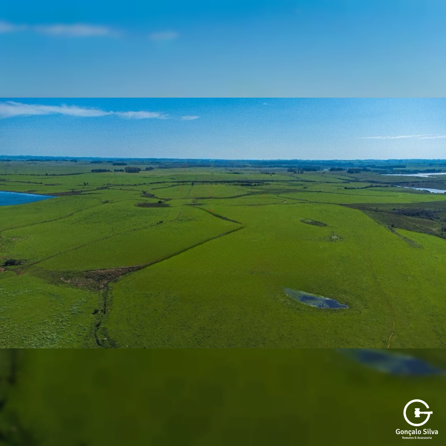 Fazenda com 900 Hectares em Candiota