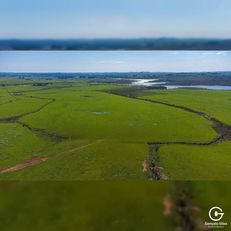 Fazenda com 900 Hectares em Candiota