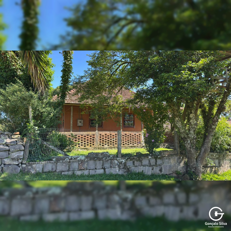 Fazenda com 223 Hectares em São Francisco de Paula