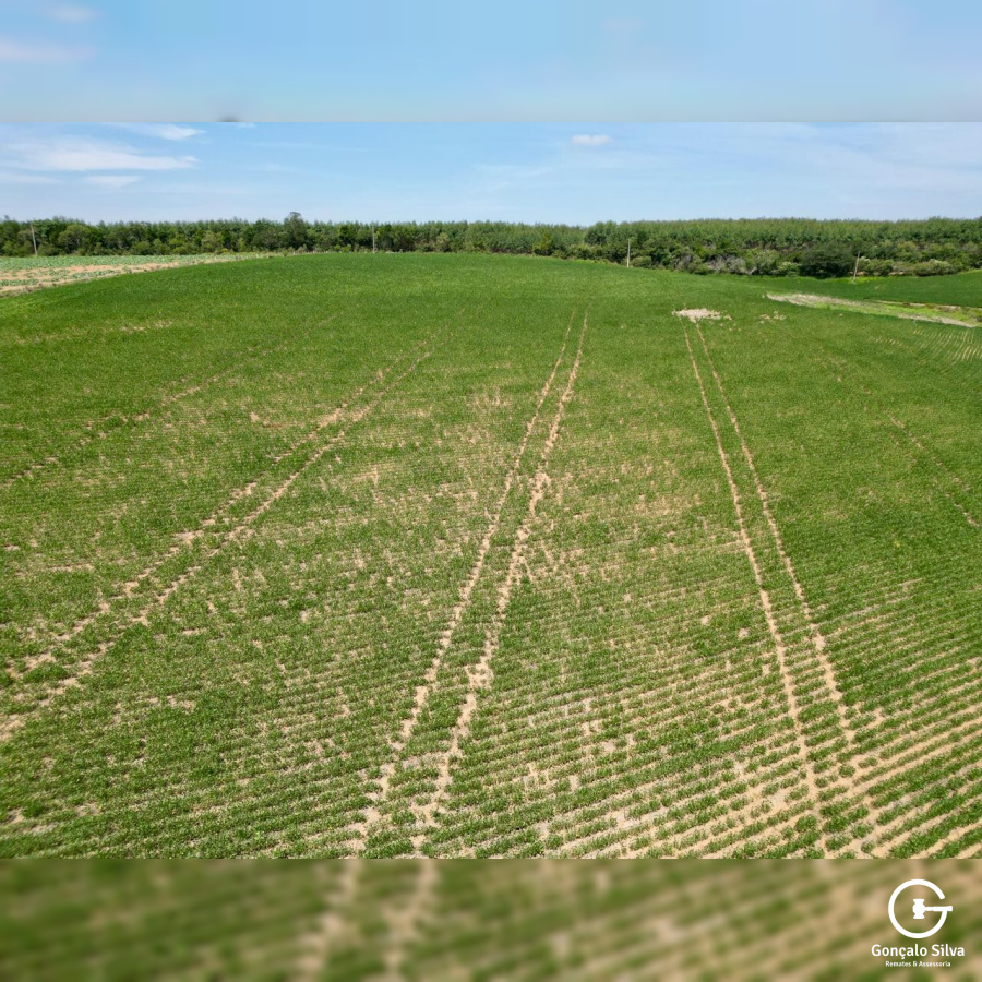 Área Rural com 64 Hectares em Guaíba