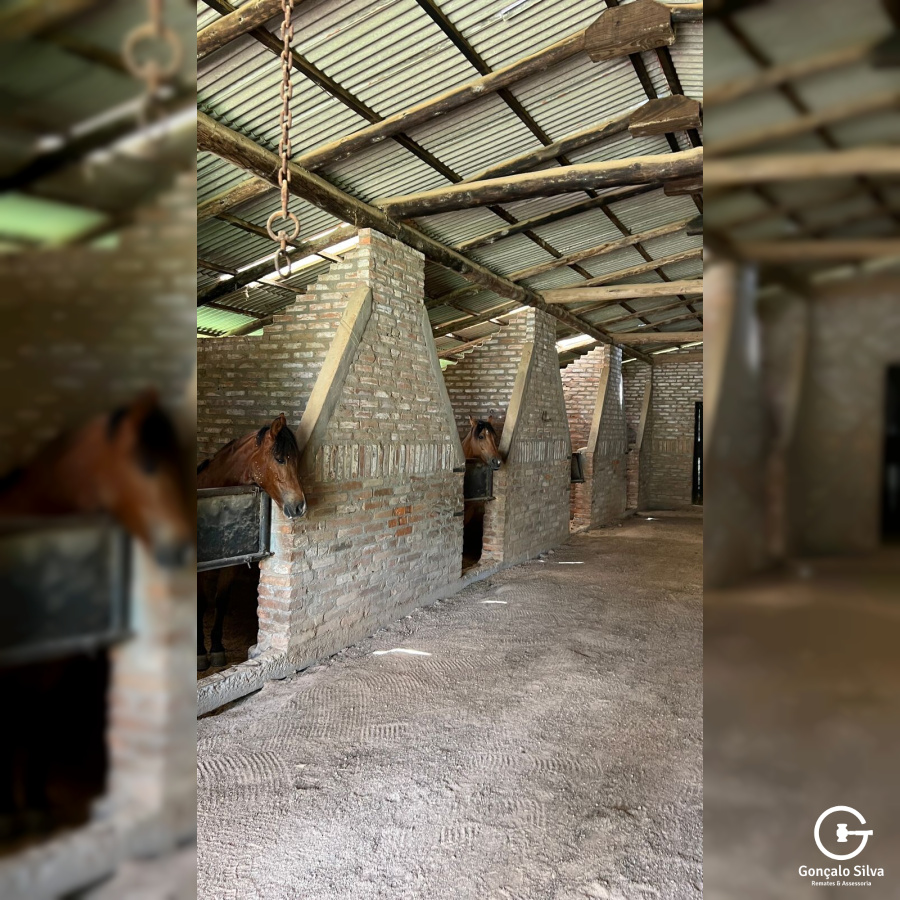 Área para Cabanha ou Centro de Treinamento