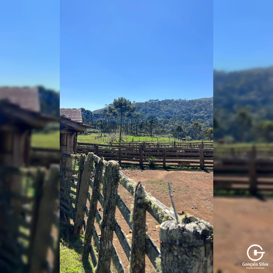 160 Hectares em Bom Jardim da Serra/SC