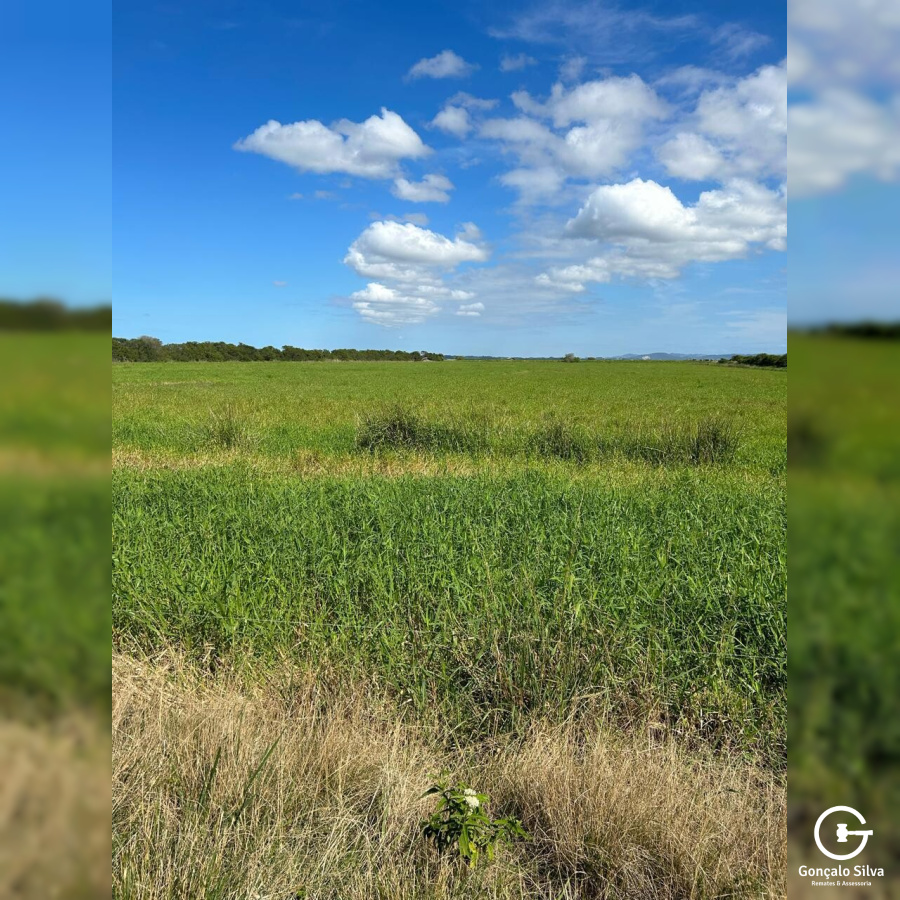 Sítio com 86 Hectares em Santa Catarina, excelente  lugar