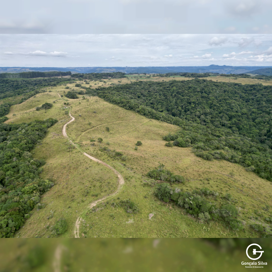 Área de 450 Hectares em Jaquirana