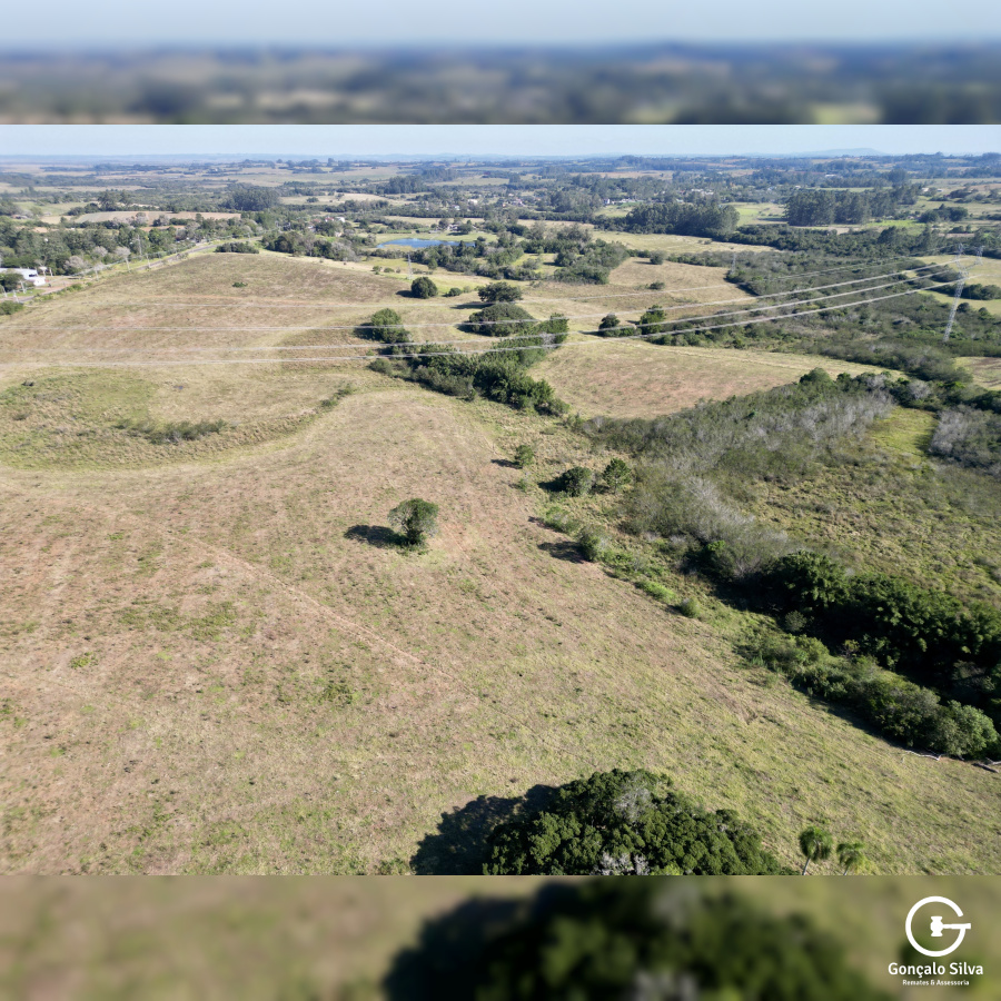 Fazenda com 140 Hectares na região de Glórinha