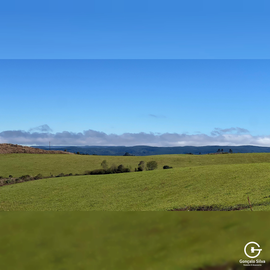 Área Rural com 535 Hectares em Santa Catarina.
